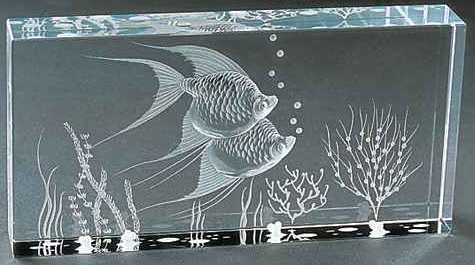 Busi big - 200x100x30mm